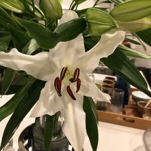 Meet your Posher, Ruth